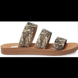 Steve Madden Snake Print Sandal Pascale Slide